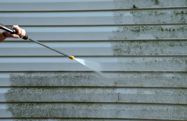 Best Residential Pressure Washing Services  in Flemington, PA