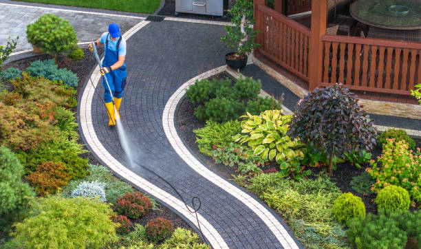 Best House Pressure Washing  in Flemington, PA